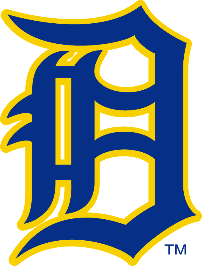 Delaware Blue Hens 1955-1967 Primary Logo diy iron on heat transfer